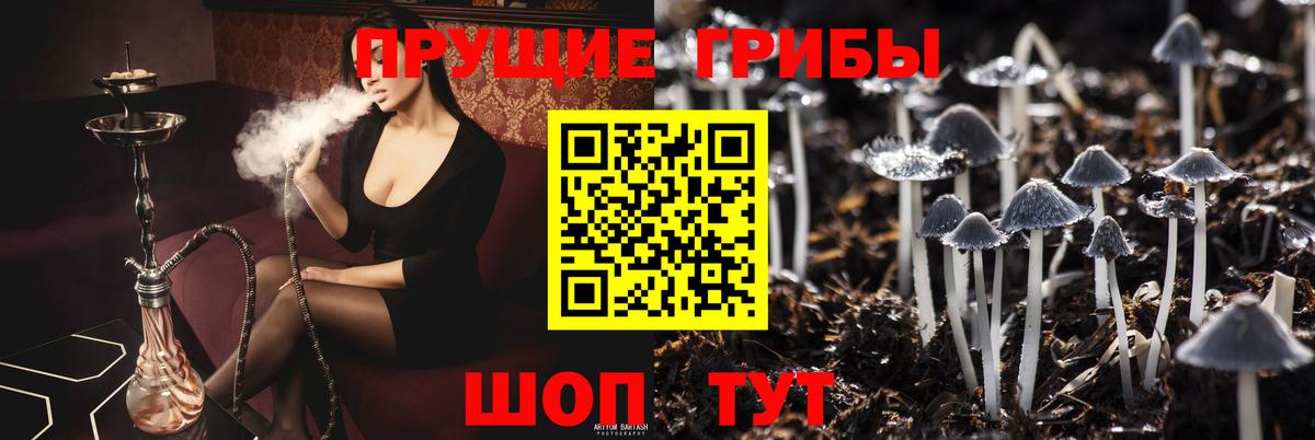 Галлюциногенные грибы мухоморы  Вход с VPN  Фрязино 